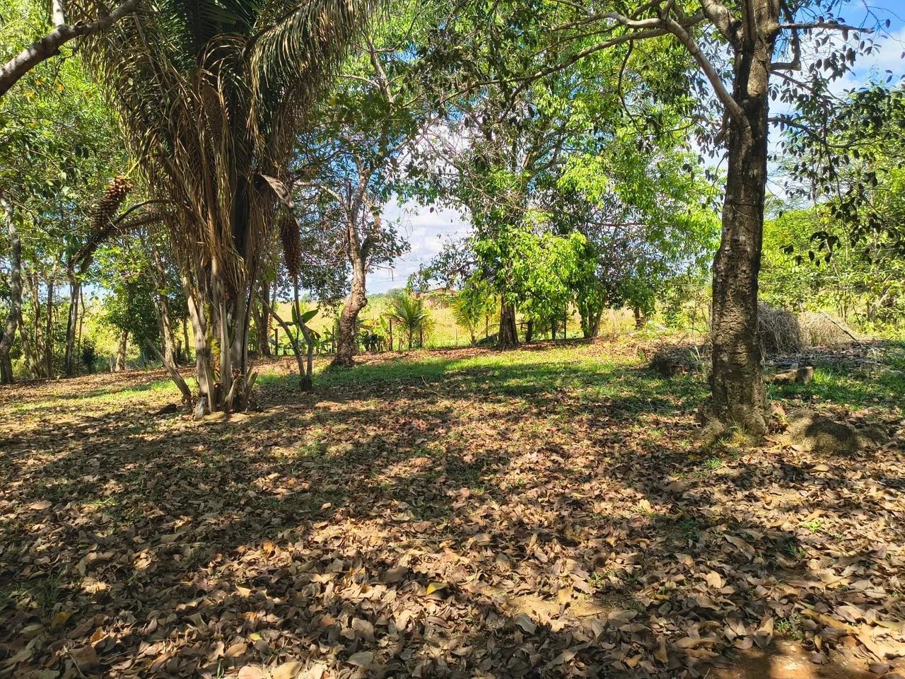 vende -se chácara ou troca 