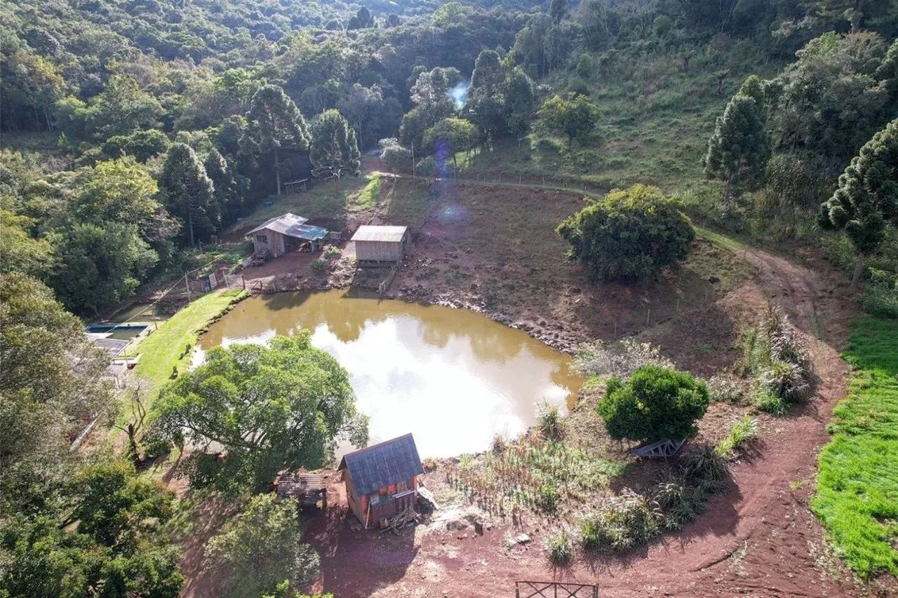 Sitio a venda em Canela - Foto 4