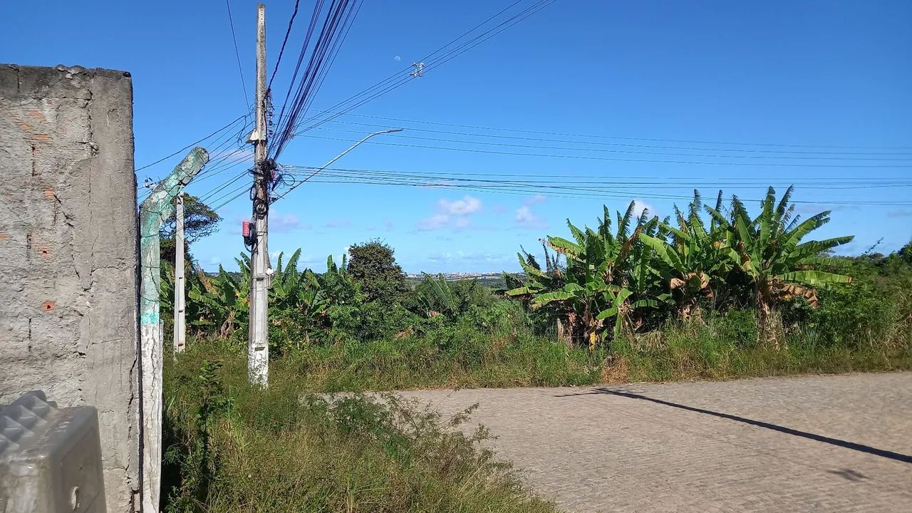 Casa com terreno em local tranquilo - Foto 3