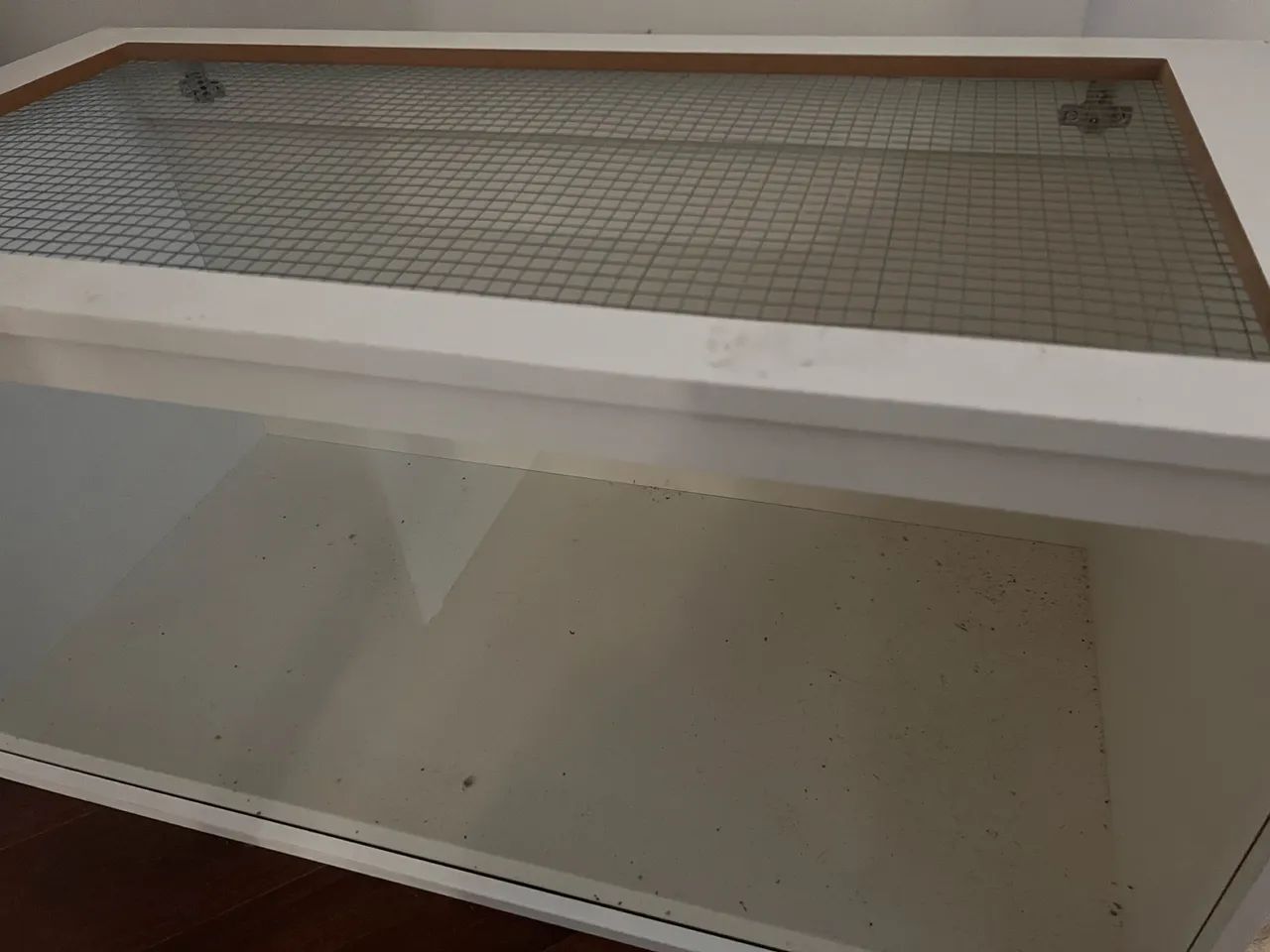 terrario para hamster
