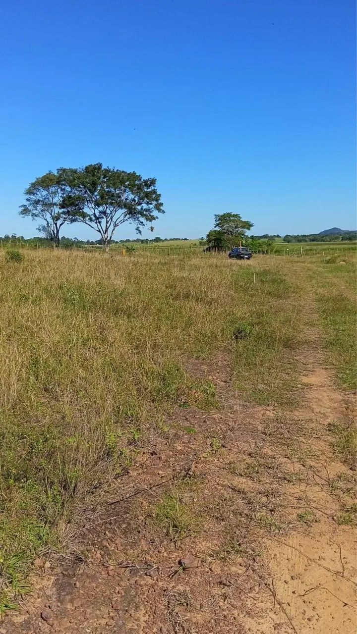 Vendo Sitio Morrinhos Quissamã - Foto 3