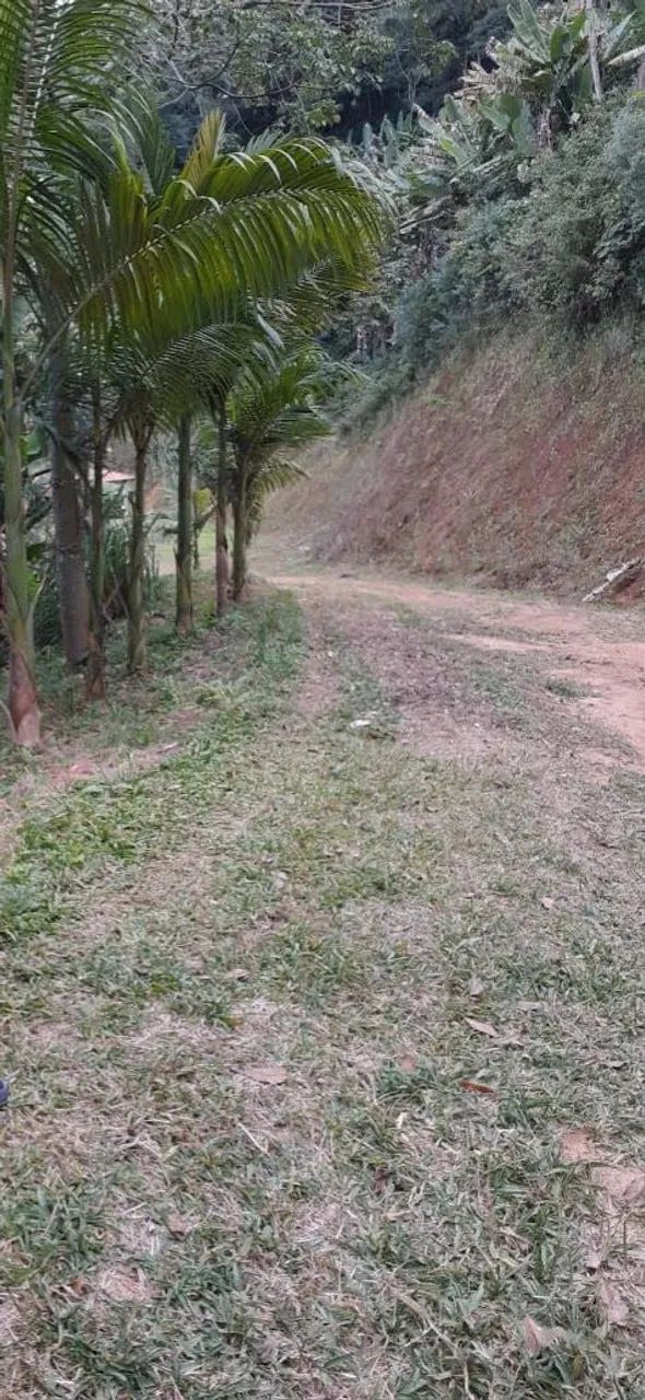 Chacarra monteiro lobato na serra  - Foto 3