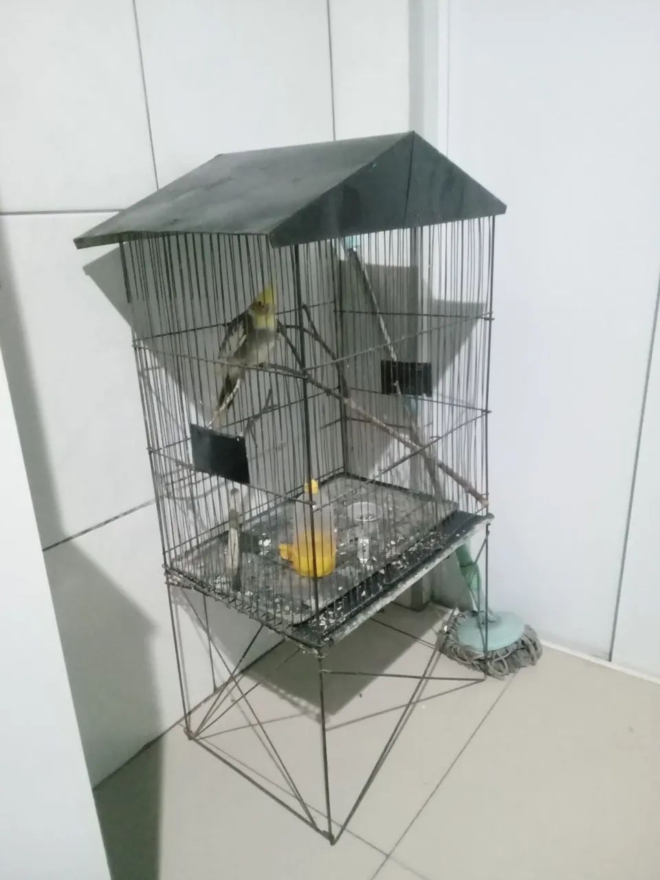 Viveiro 