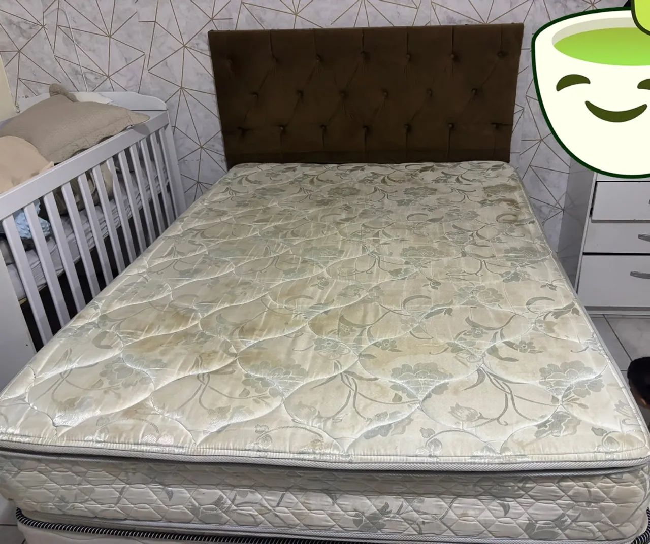 Cama