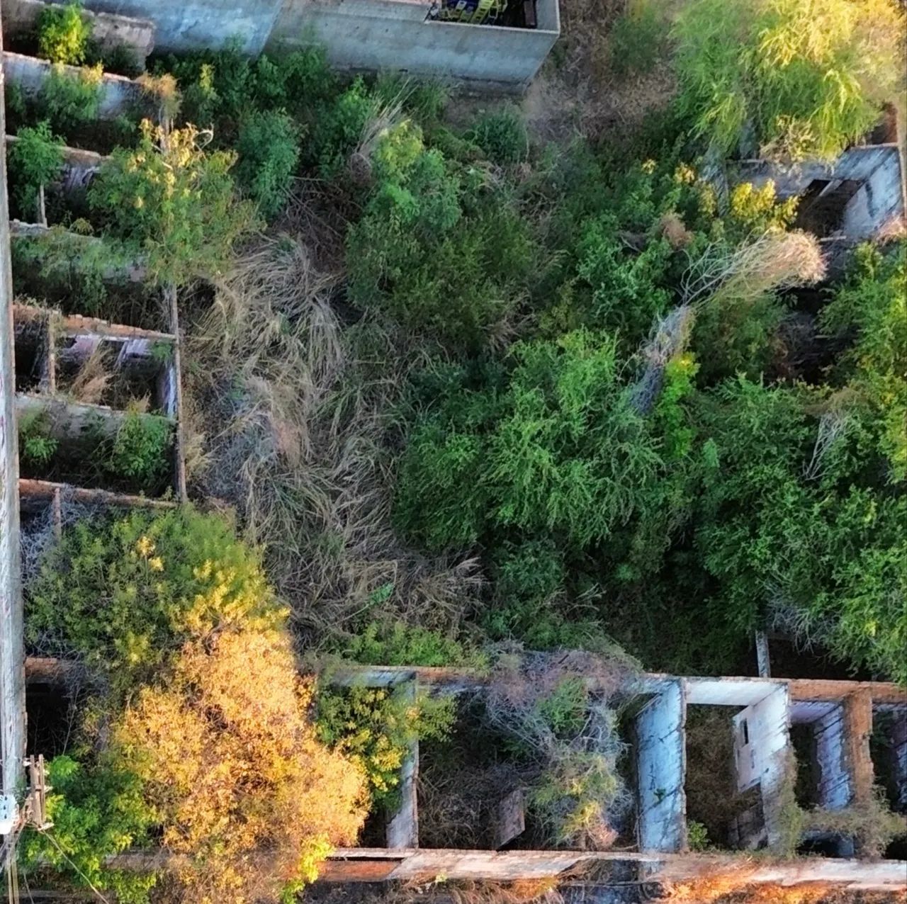Terreno amplo a venda  - Foto 3
