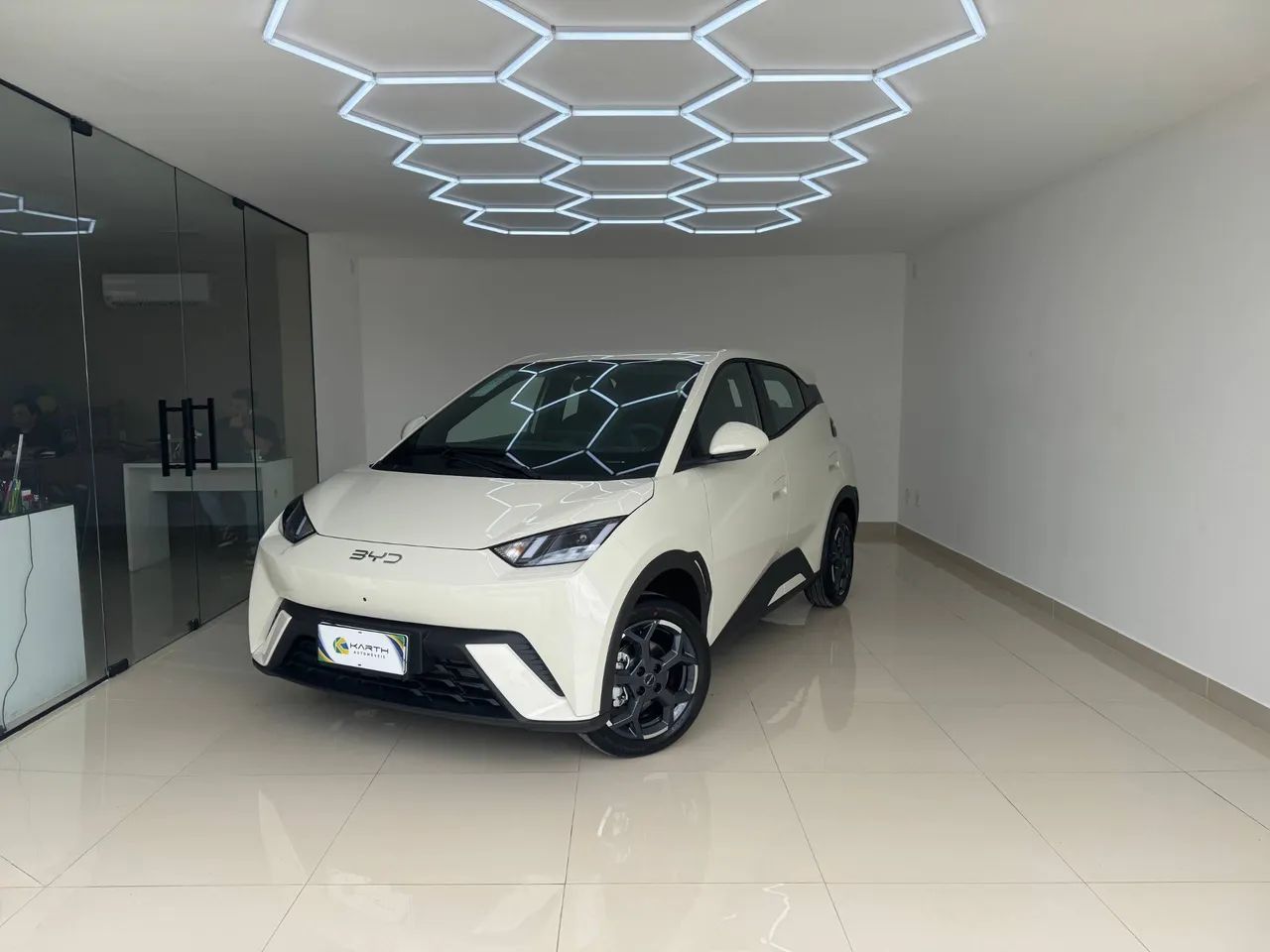 BYD Dolphin Mini (Elétrico) 2027