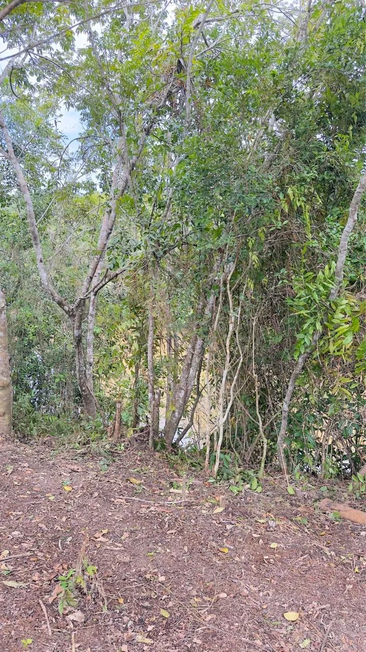 Terreno Tipo Sítio - Foto 3
