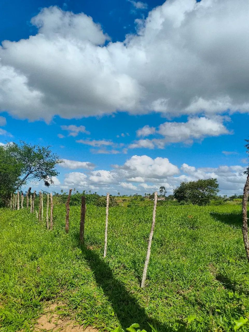 Oportunidade Única: Terreno Amplo com 6 Tarefas e minantes  - Foto 5