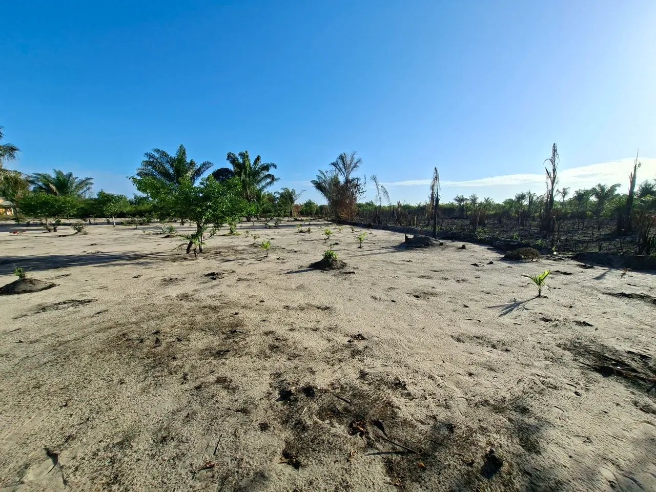 Terreno em Colares