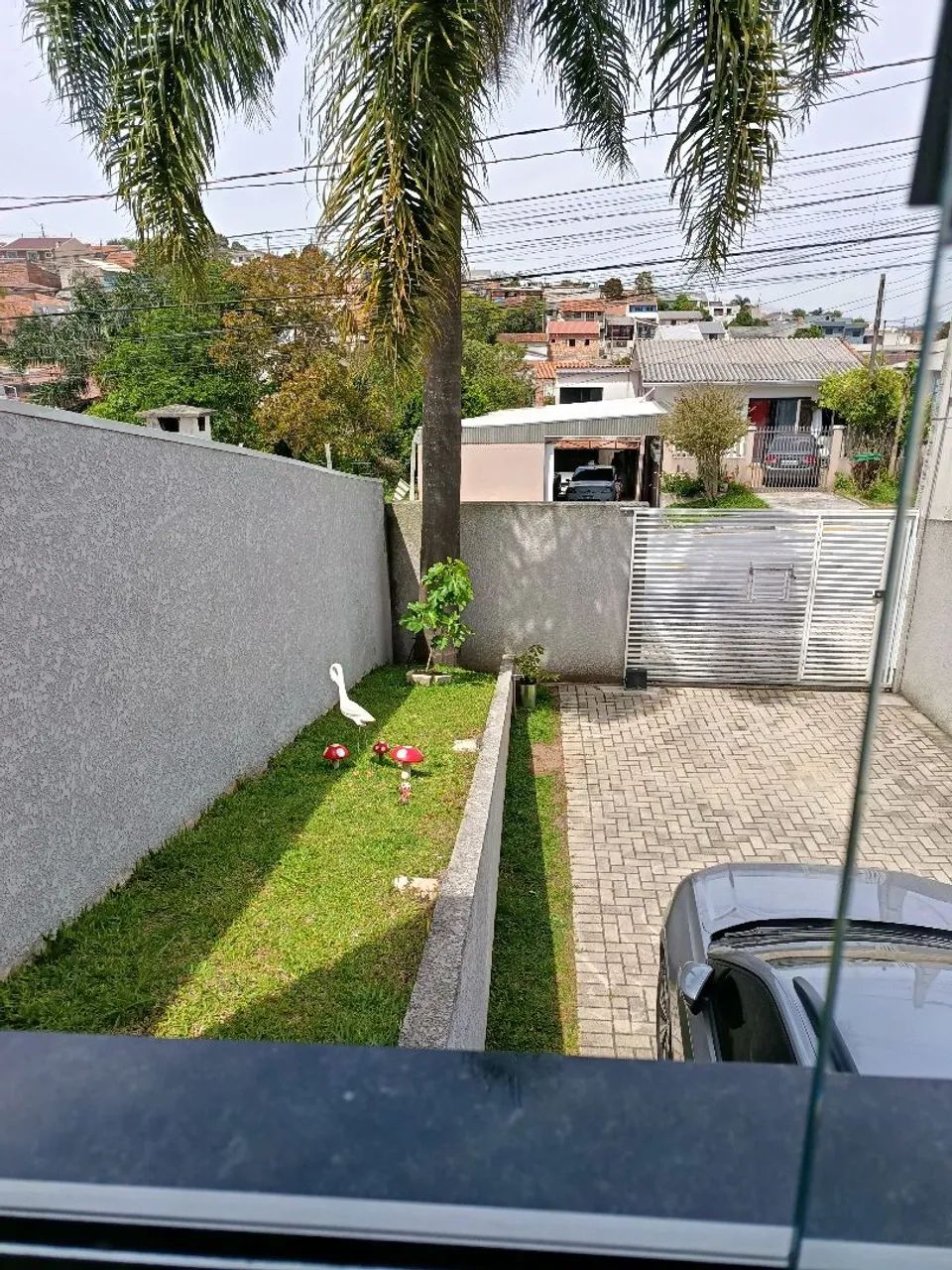 Foto - Araucária - Iguaçu