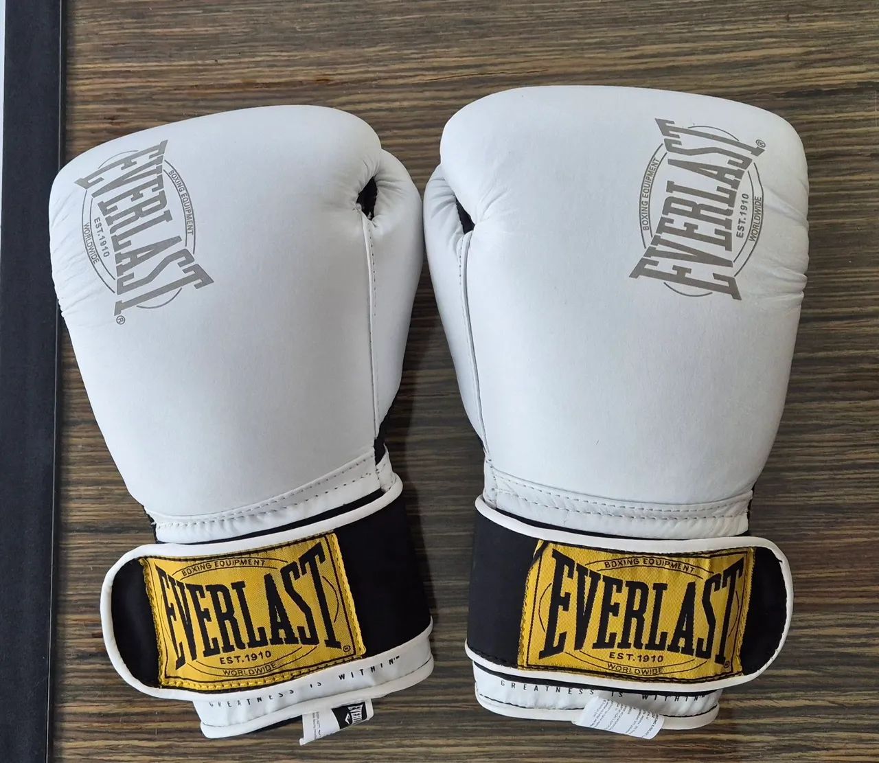 Luva Boxe Everlast 1910 12 oz