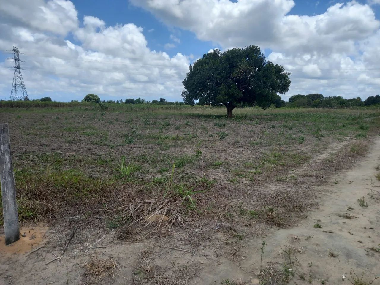 Vendo Terreno plano, maravilhoso, pronto para construir sua casa de campo - Foto 3