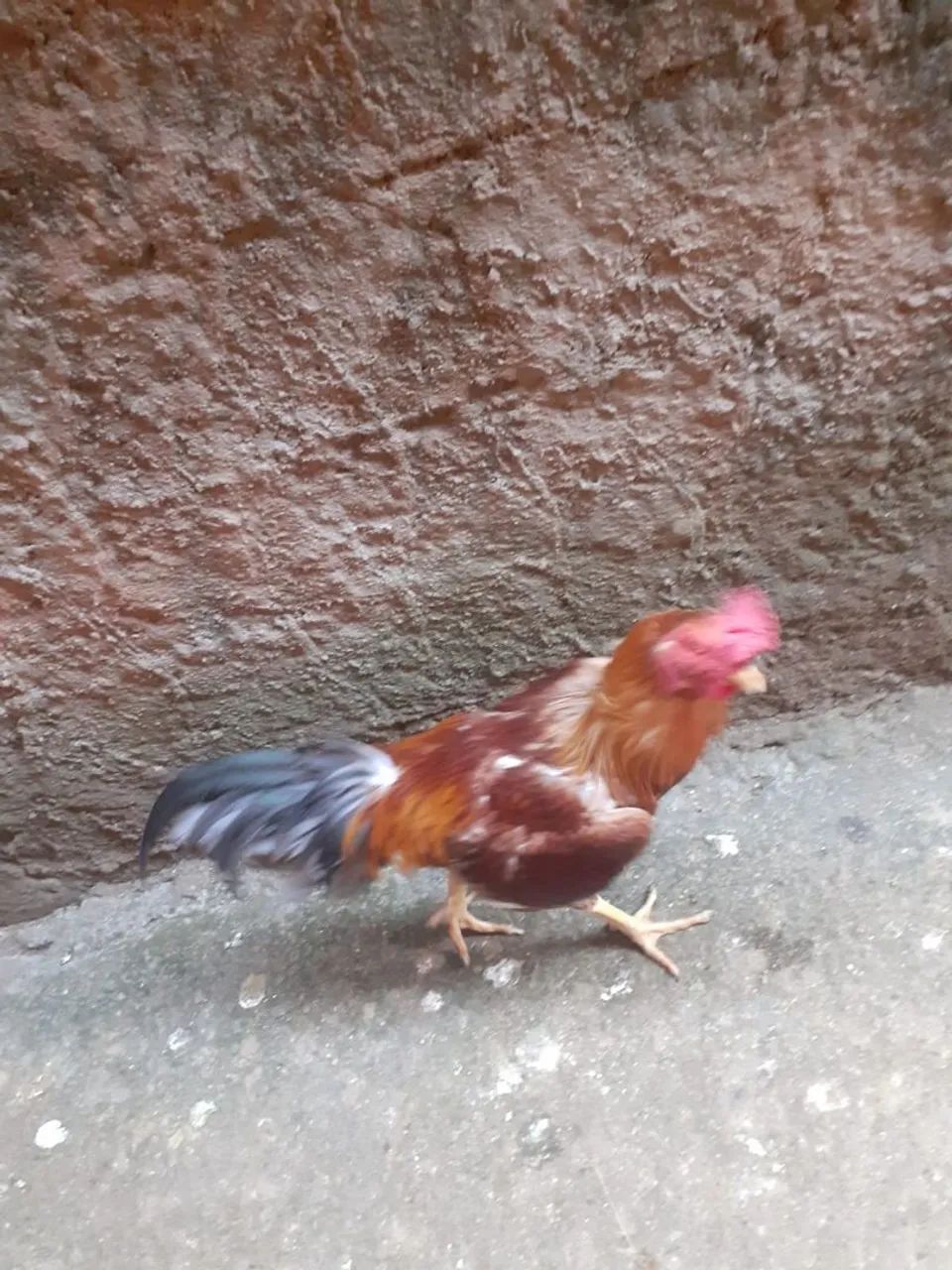 Vende - se VALOR A COMBINAR - Foto 3