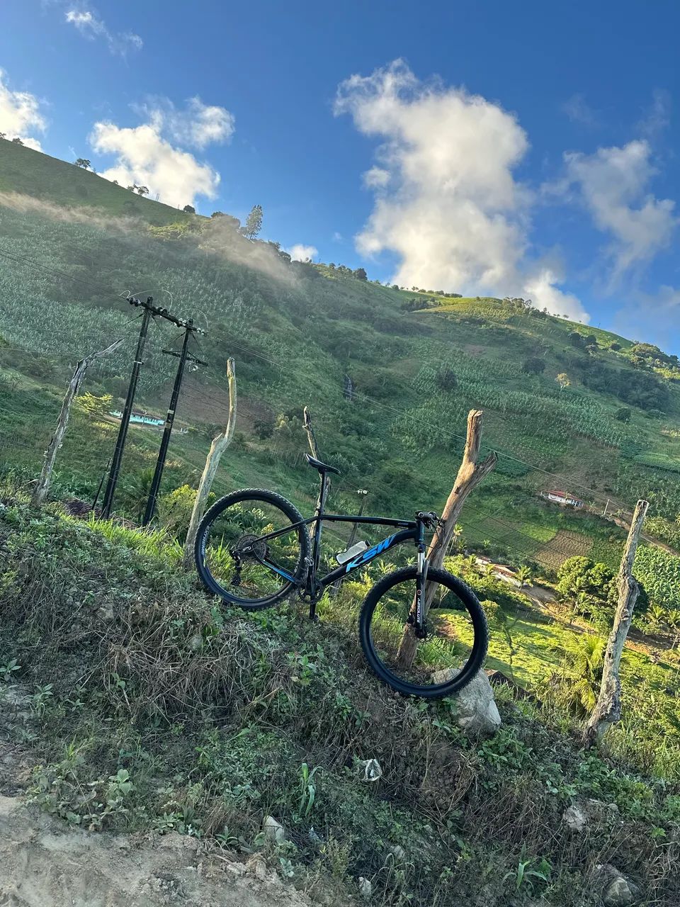 Bicicleta