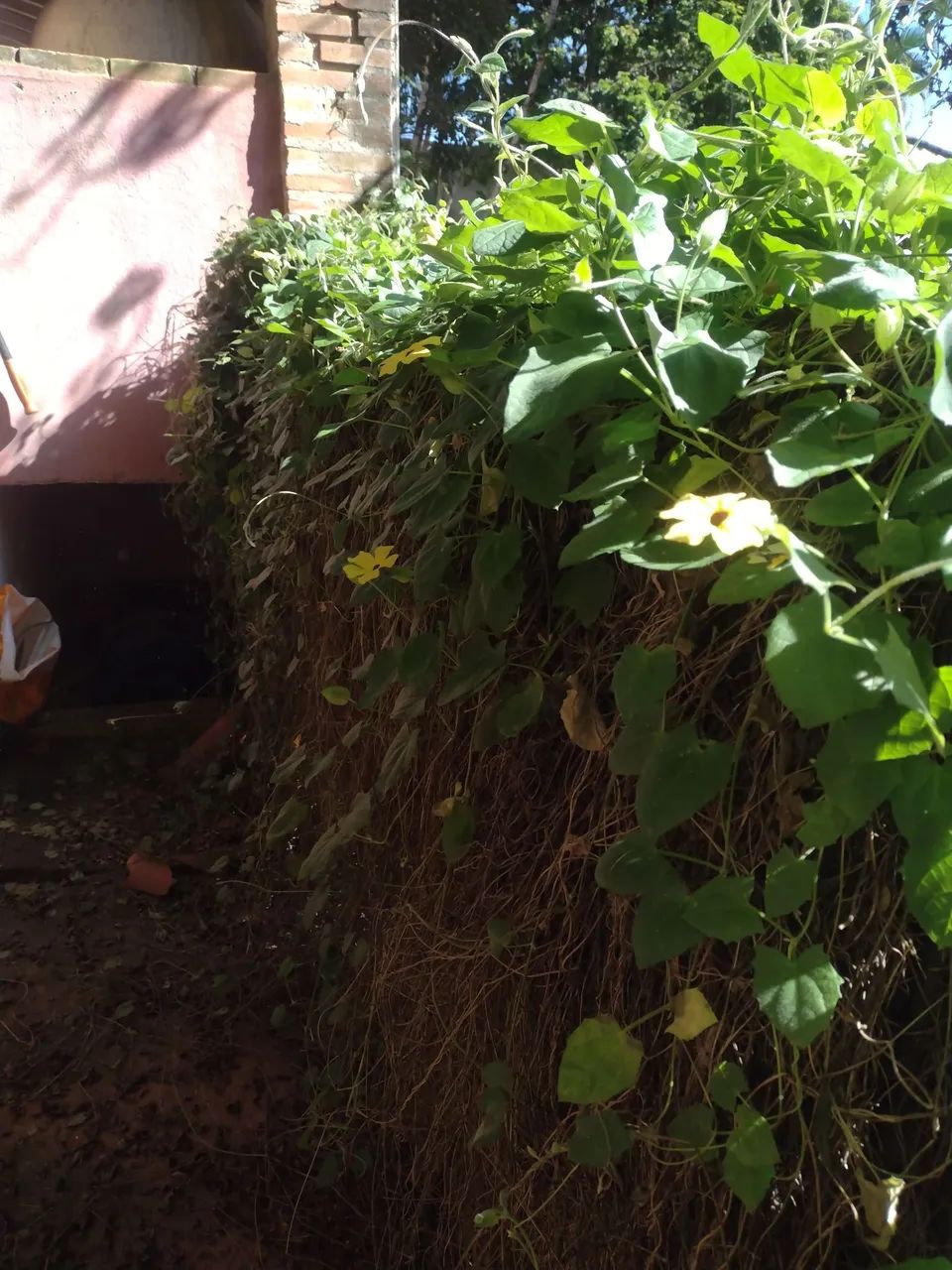Grades para Canil o Jardim diversos usos - Foto 5