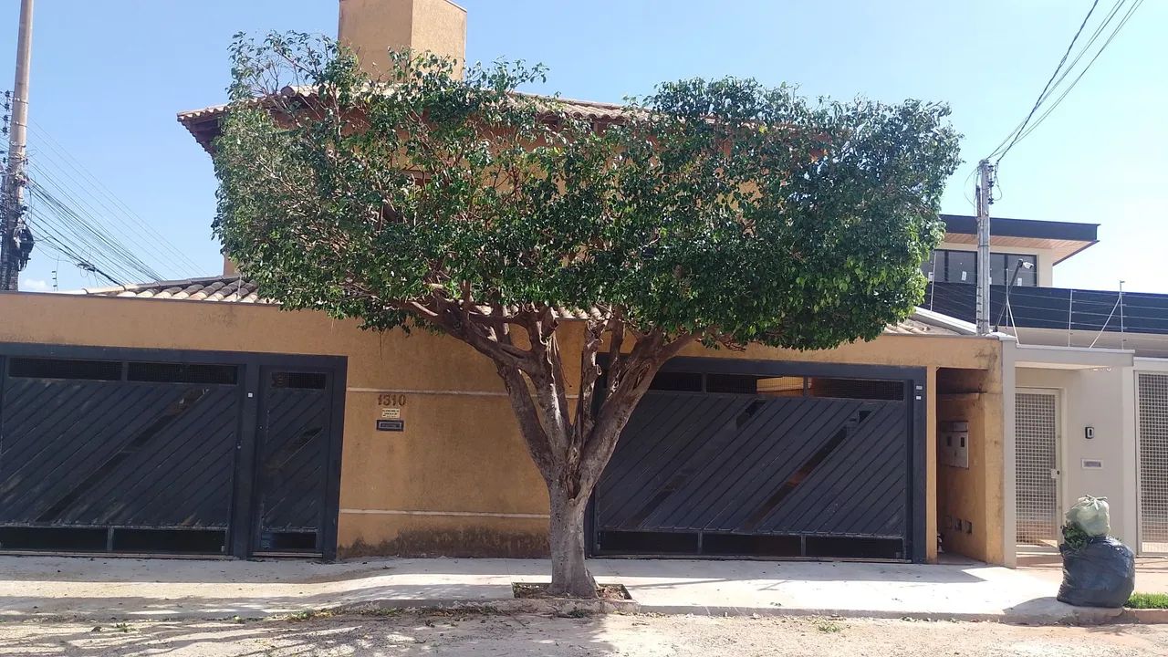 Poda de árvore limpeza de terreno  - Foto 2
