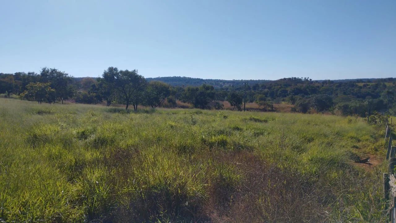 Fazenda 339 Hectares/2 Rios,Toda cercada... - Foto 12