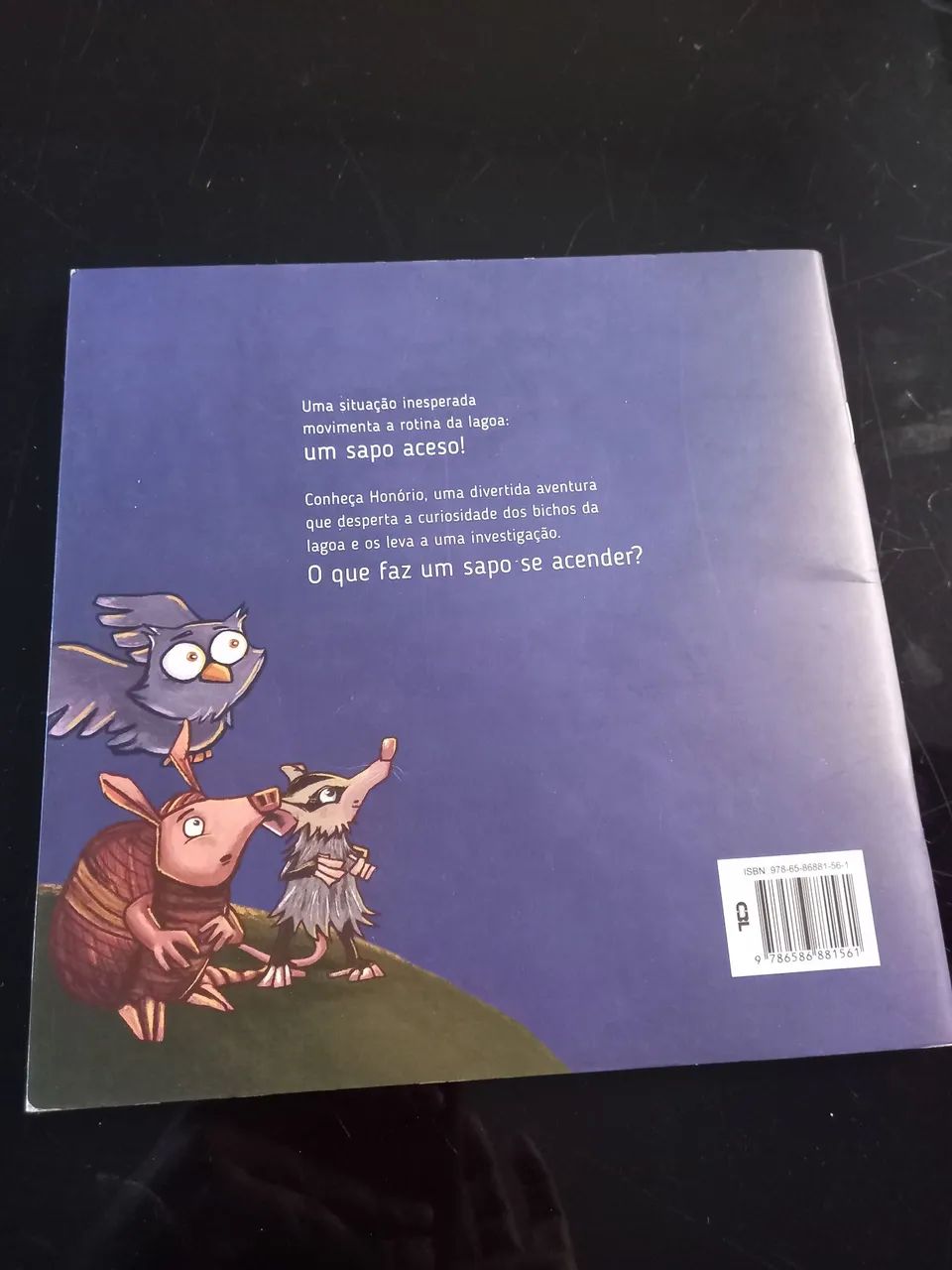 Livro Honório - Aletria - Foto 2