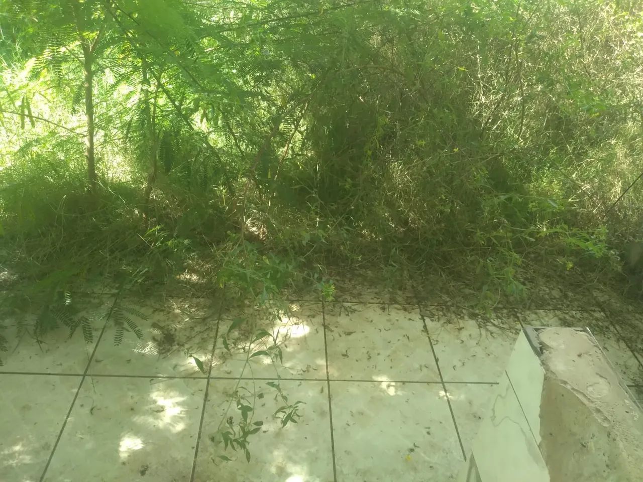Terreno com casa