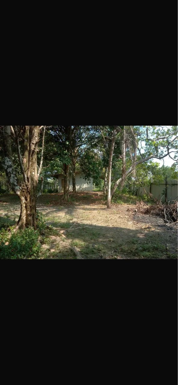 Chácara em presidente Figueiredo  - Foto 3