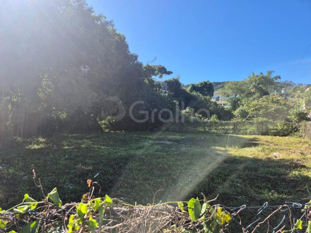 Terreno de 564m² no João Paulo - Foto 3