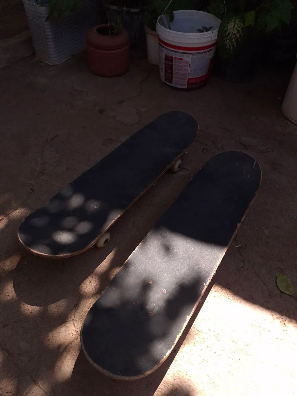 skate - Foto 2