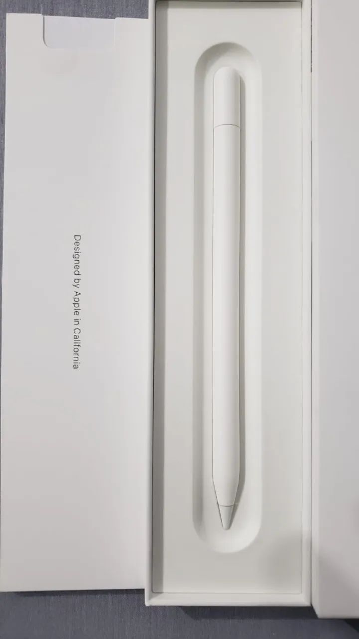 Apple Pencil (USB-C) nova, original - Tablets e E-Readers - Setor