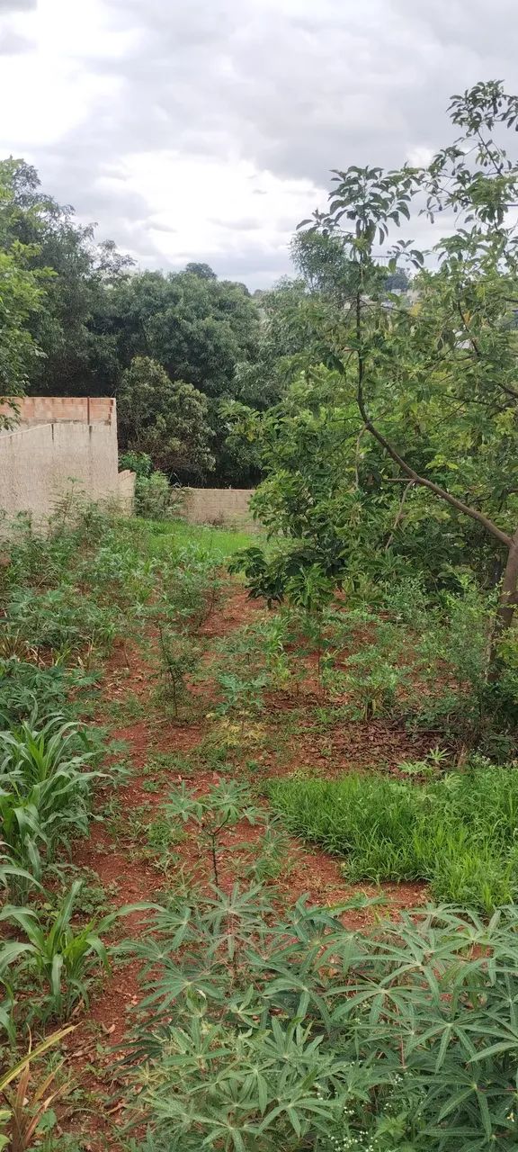 Lote em São Joaquim de Bicas - Foto 3