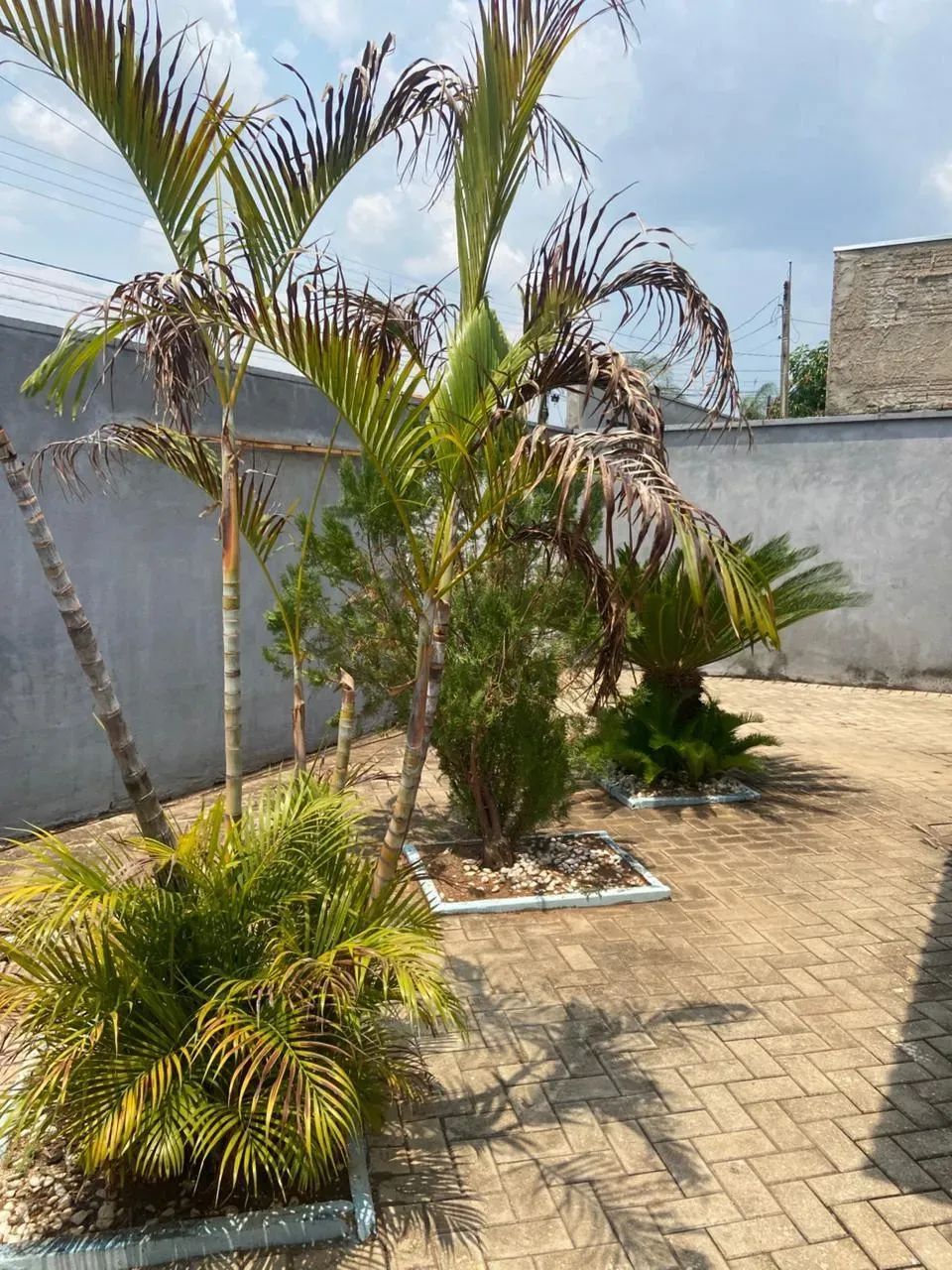 Casa à Venda  403 Sul | Palmas - Foto 5