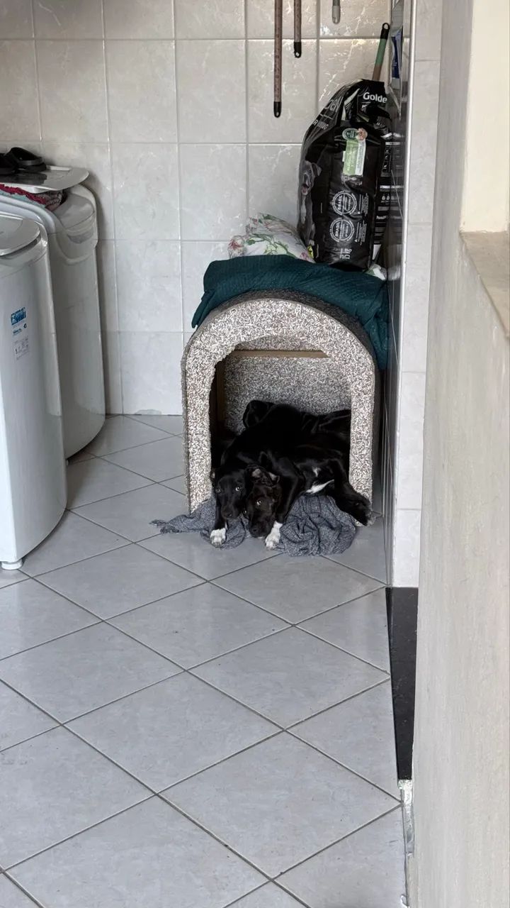 Doação 