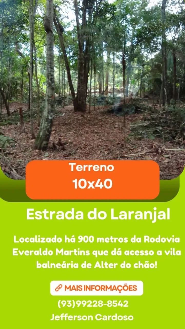 Foto - Santarém - Alter do Chão