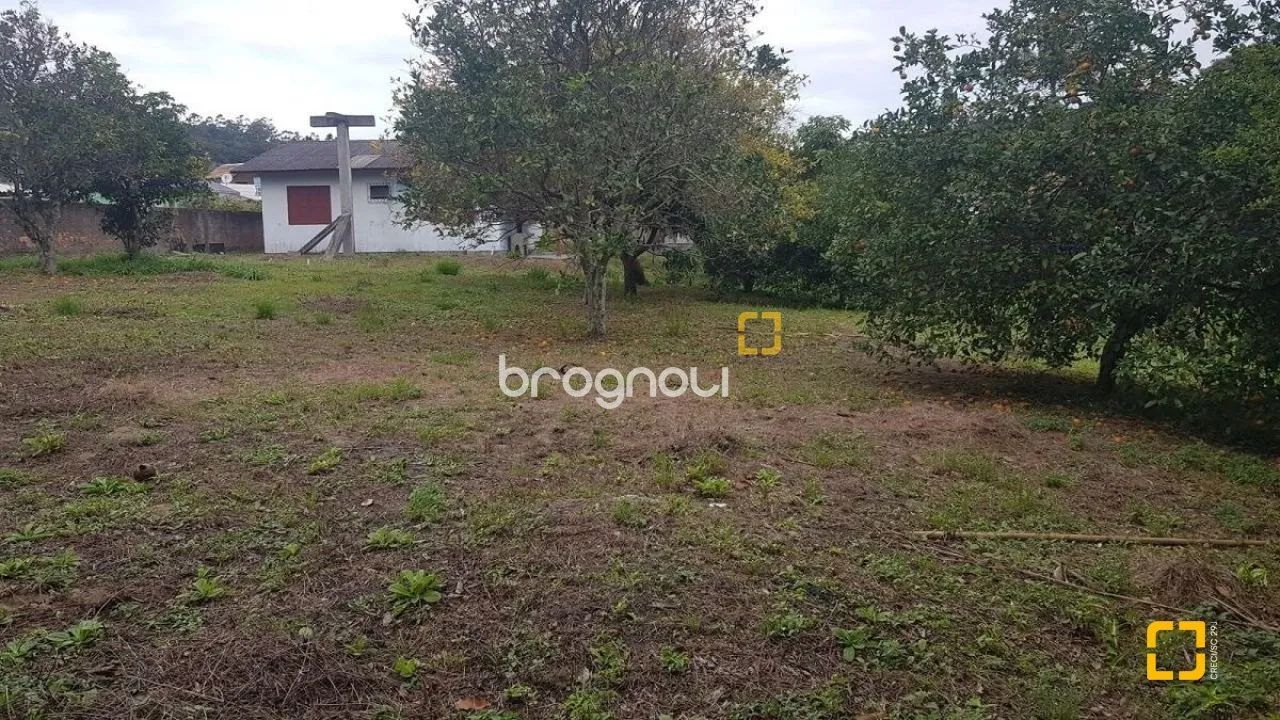 Terreno Cachoeira do Bom Jesus Florianópolis - Foto 5