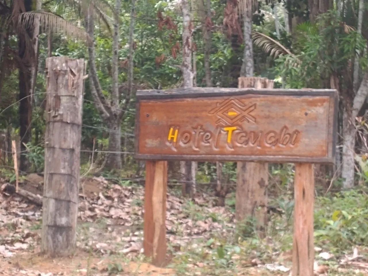 Excelente SÍTIO  - Foto 5