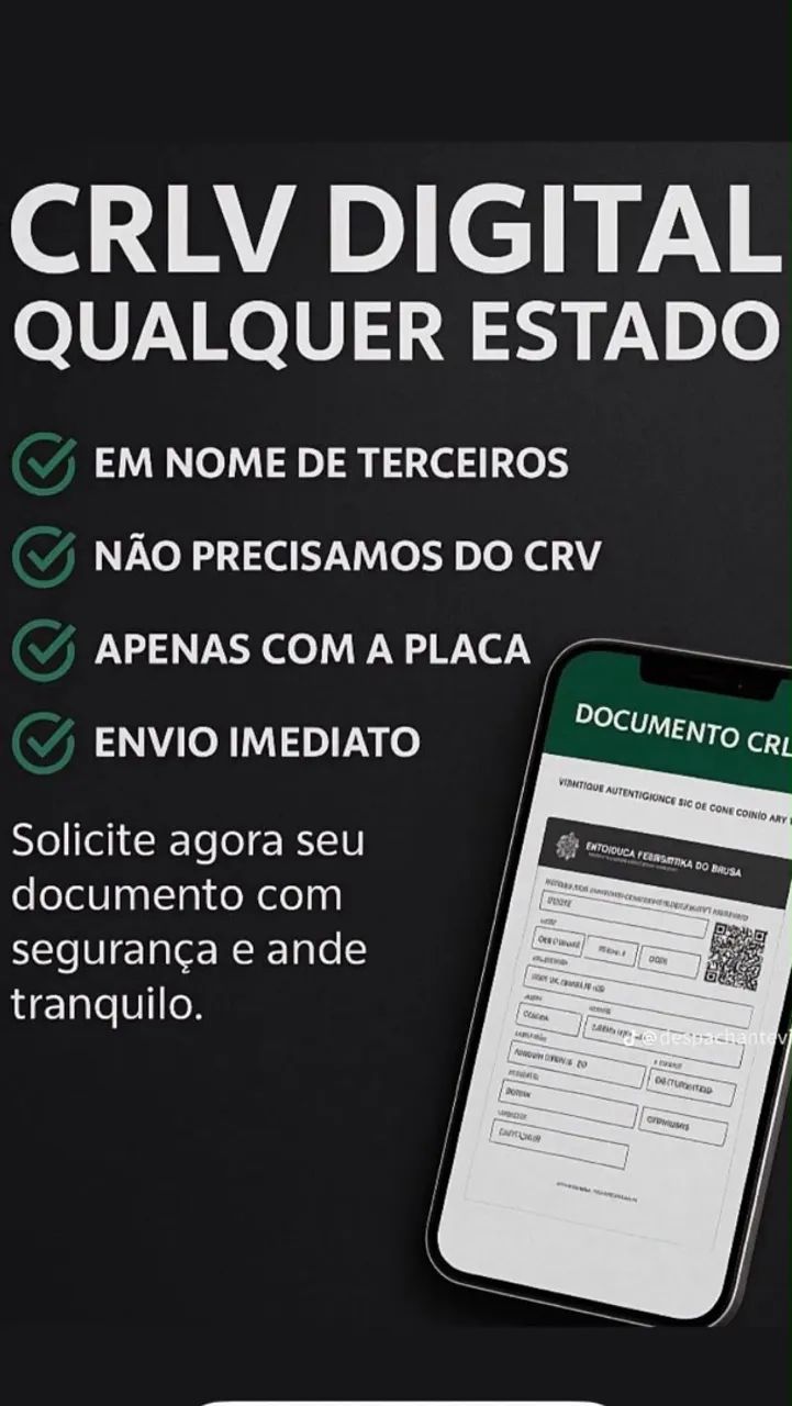 Serviços Despachante  - Foto 2