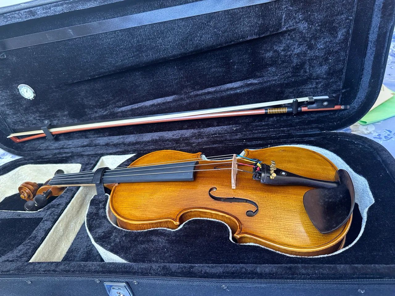 Viola de Arco