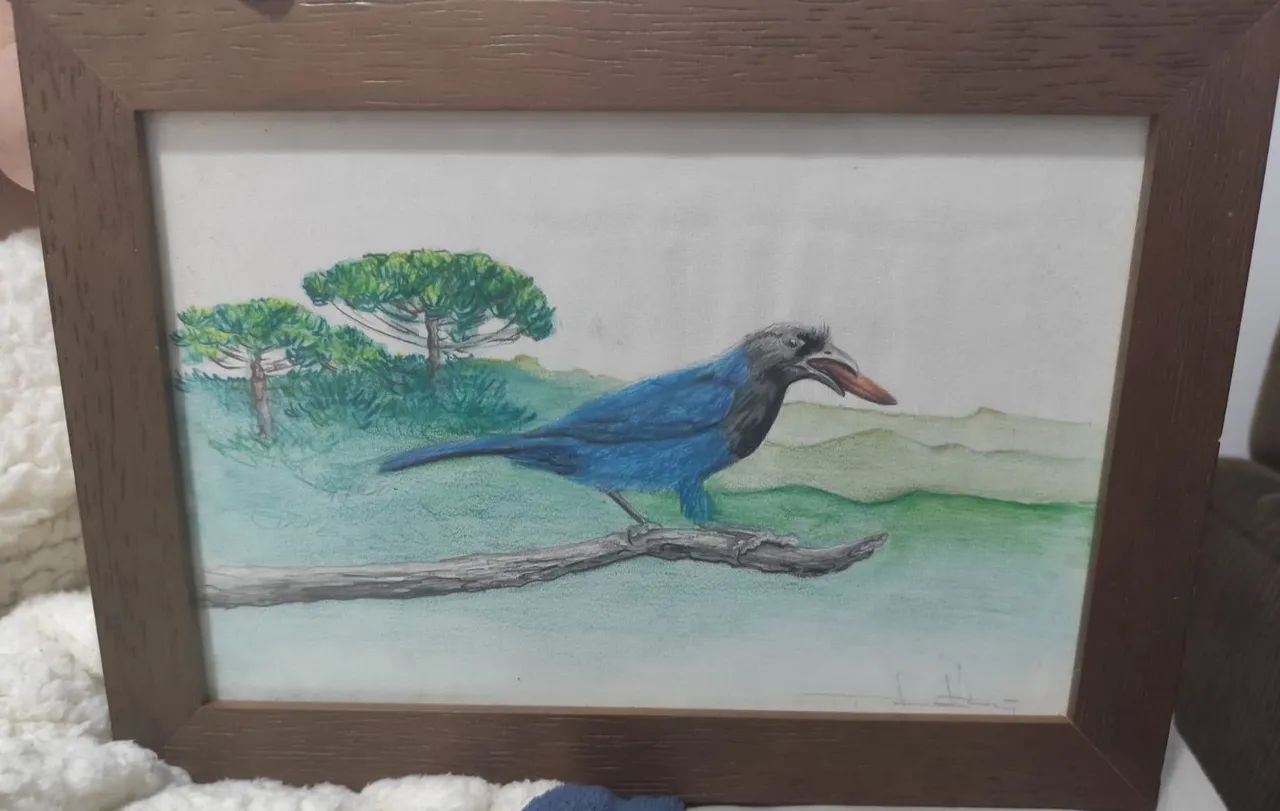 Quadro gralha azul pintado a mão 