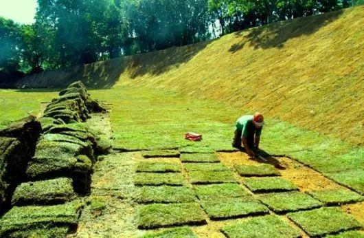 Contenção e reparos de terrenos com o melhor preço - Foto 4