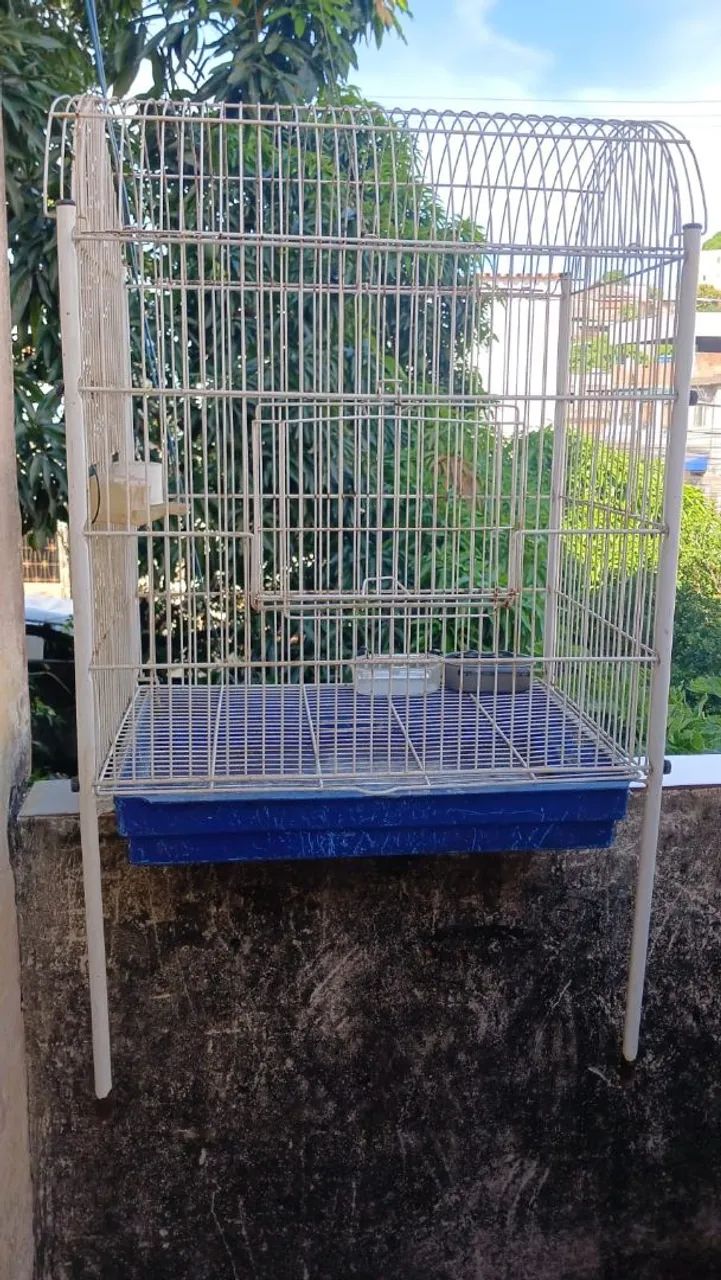 Viveiro para calopsita 