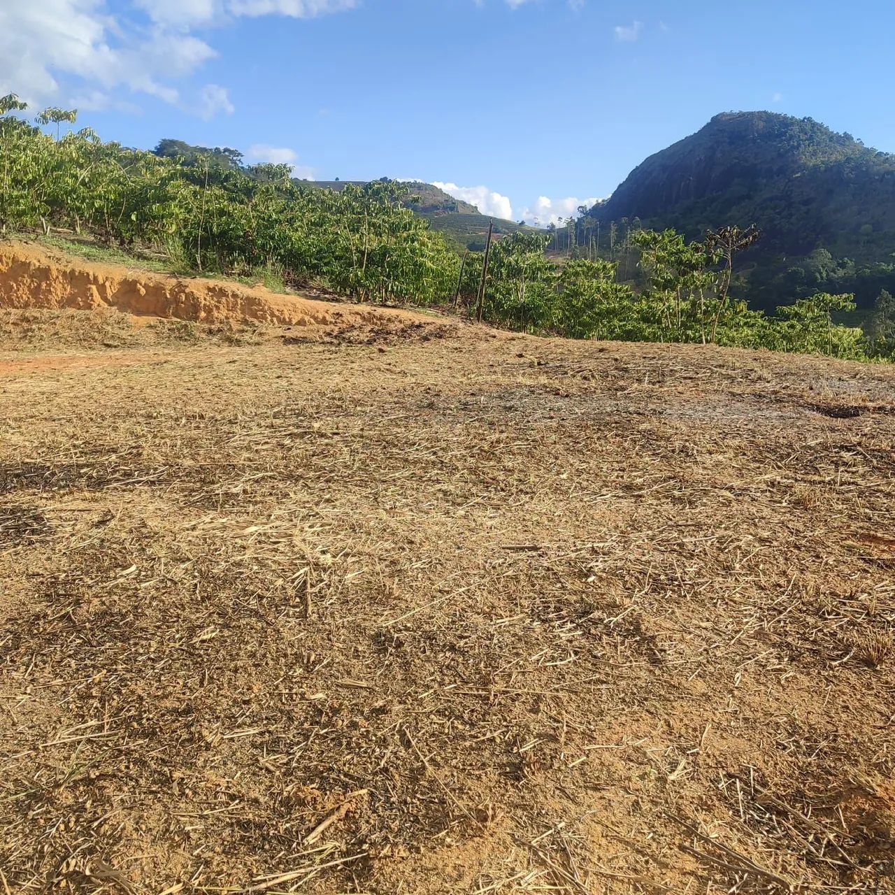 Lote a venda pronto pra construir  - Foto 2