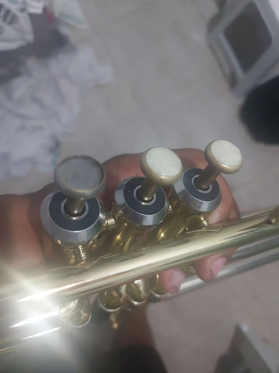 Trombone de Pisto - Foto 4