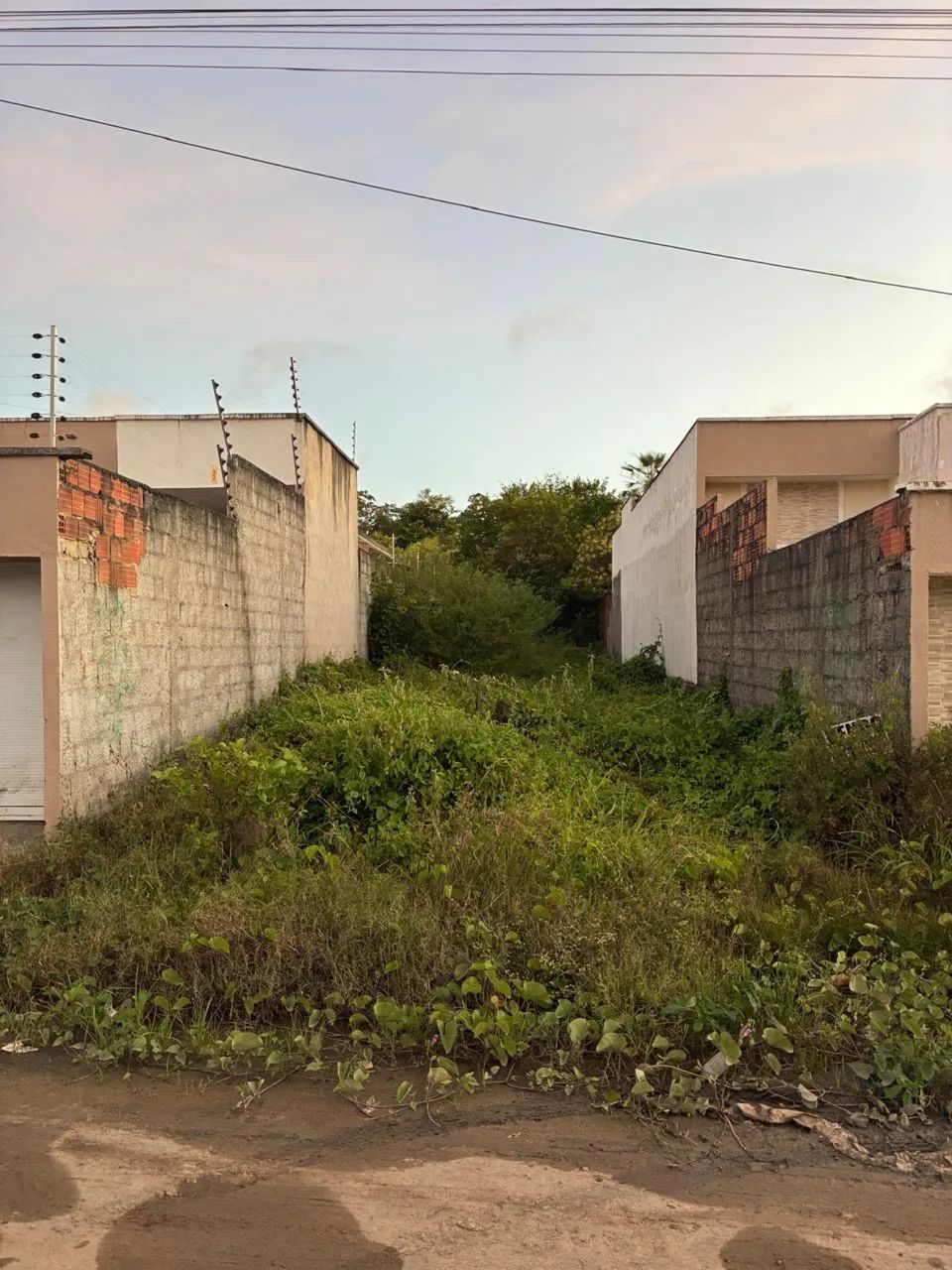 VENDO LOTE NA AVENIDA A NO ANCURI 6x31