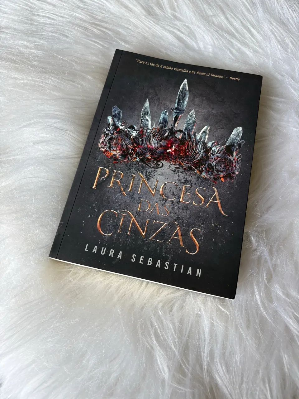 Livro Princesa das cinzas 