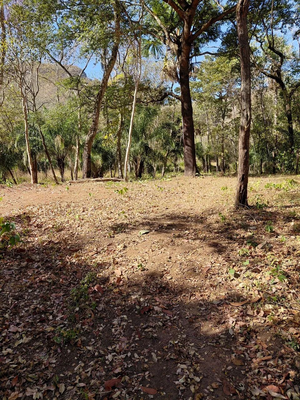 Área escriturada, com compra e venda  - Foto 2