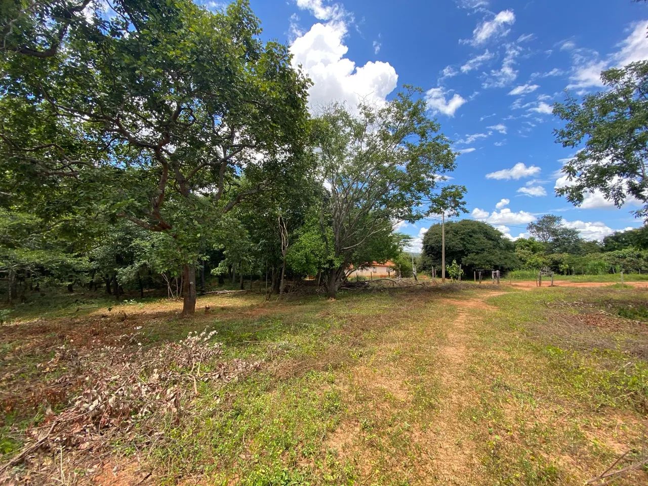 Terreno de 2,5 hectares com água e luz ?  - Foto 2