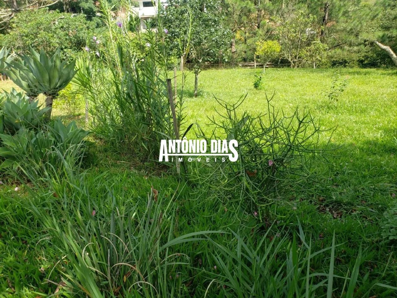 Lote Pomar da Serra - Foto 4