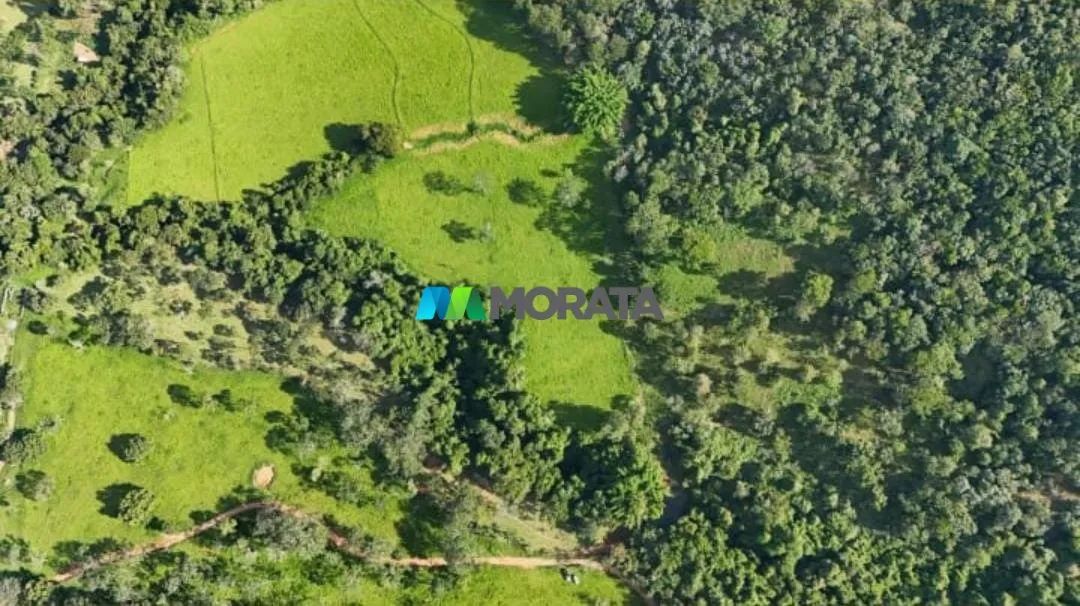 FAZENDA À VENDA - 78 HECTARES - CLÁUDIO (MG) - Foto 4
