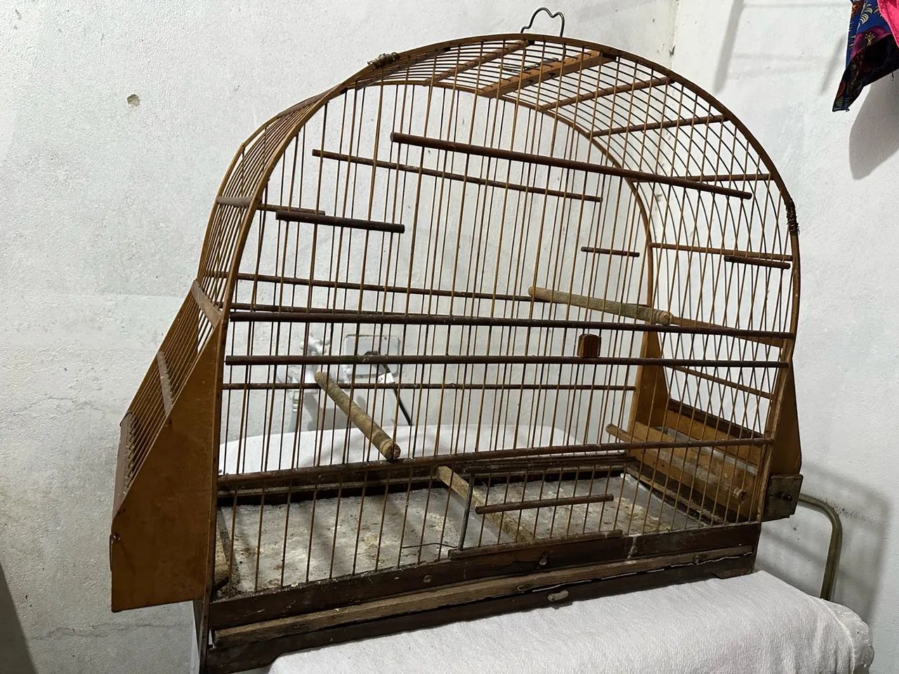 Gaiola  - Foto 2