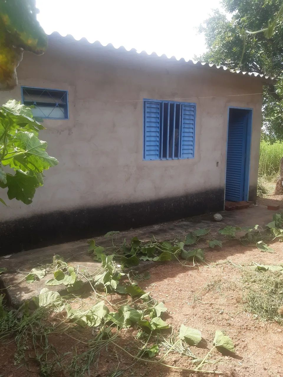 Foto - Brasília - Arapoanga