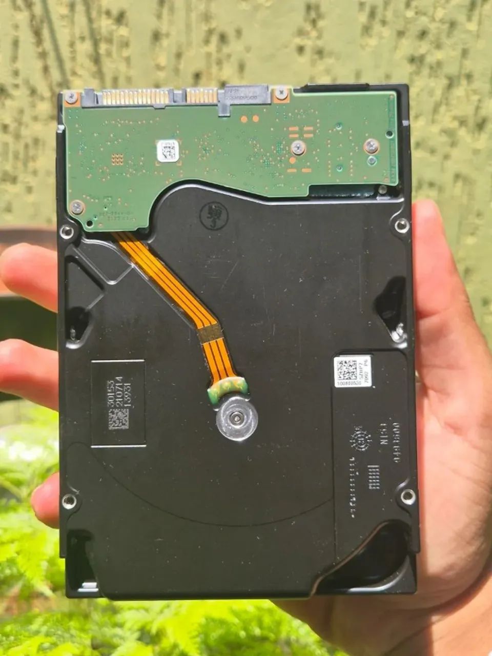 HD Seagate Exos X18 18TB - Foto 2