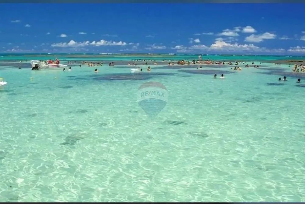 TERRENO EM SÃO MIGUEL DOS MILAGRES - Foto 10